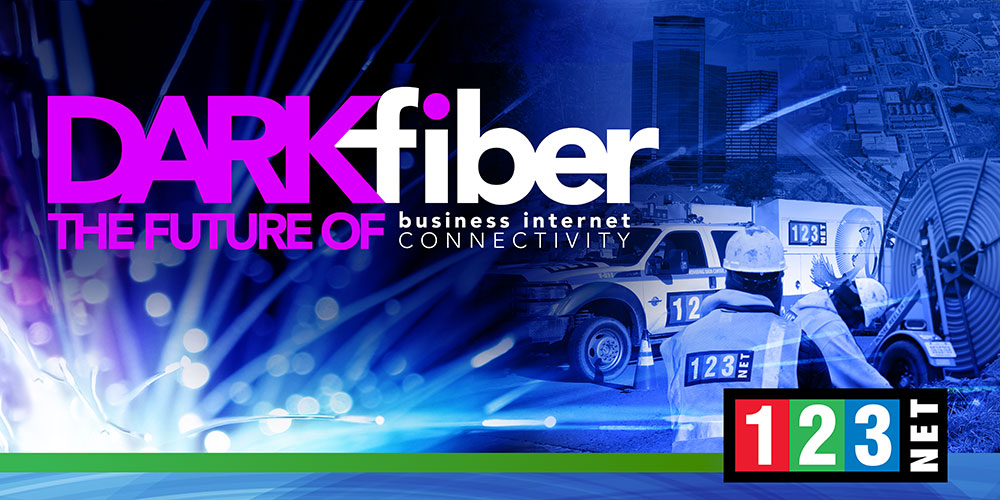 Dark Fiber, Business Connectivity